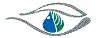 oeil