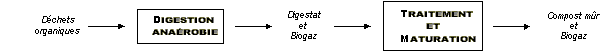 bio04 bio04